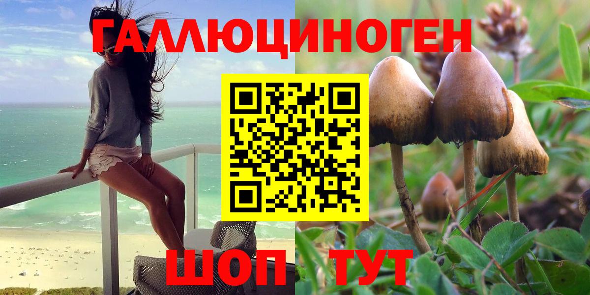 Псилоцибиновые грибы прущие грибы Городец