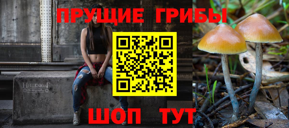 Городец  Псилоцибиновые грибы MAGIC MUSHROOMS  Галлюциногенные грибы GOLDEN TEACHER  Вход с VPN 
